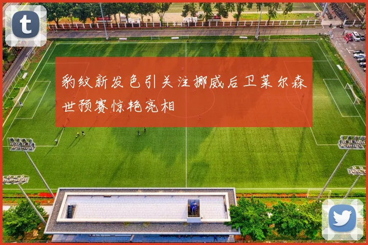 豹纹新发色引关注挪威后卫莱尔森世预赛惊艳亮相
