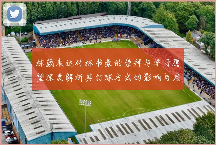 林葳表达对林书豪的崇拜与学习愿望深度解析其打球方式的影响与启发